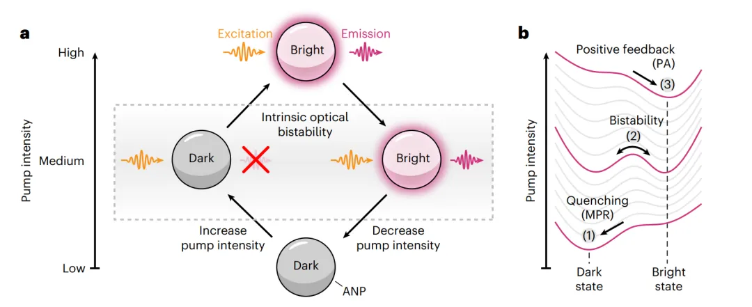 光子雪崩納米晶體的本征光學雙穩(wěn)性
