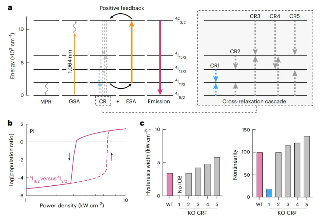 雪崩納米粒子ANPs中的本征光學雙穩(wěn)態(tài)IOB模型。
