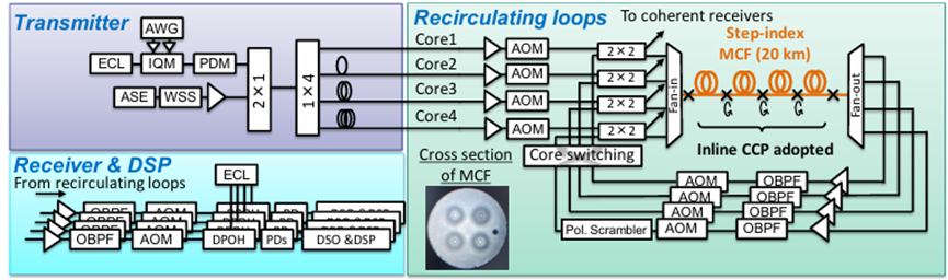 2×2聲光光開關(guān) 多芯光纖循環(huán)芯置換 芯間串?dāng)_抑制 3000 公里傳輸實(shí)驗(yàn)
