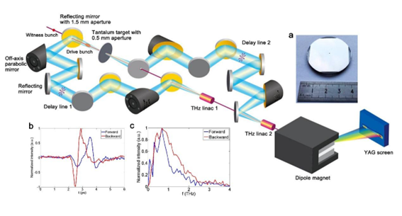 太赫茲光開(kāi)關(guān)非侵入式醫(yī)療檢測(cè)示意圖