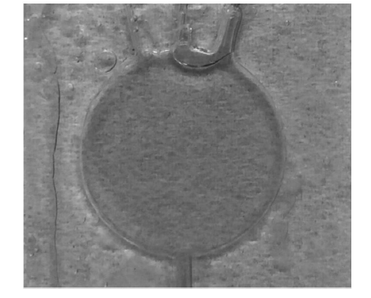 微流控光開關(guān)在實(shí)際應(yīng)用中的效果，包括不同流速下的遮光形態(tài)及透光/遮光對比  - 廣西科毅光通信